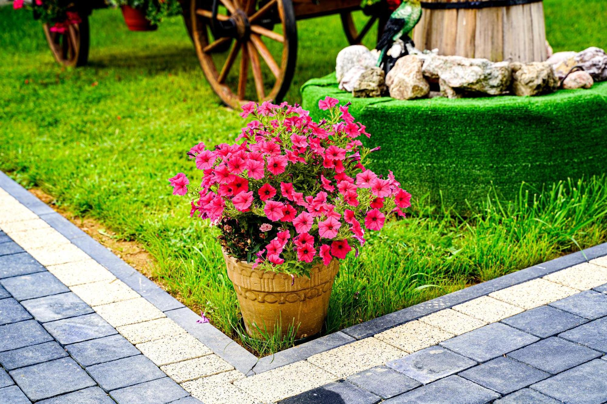 Bed and Breakfast Gosciniec Kukulka Z Jacuzzi Zakopane Zewnętrze zdjęcie